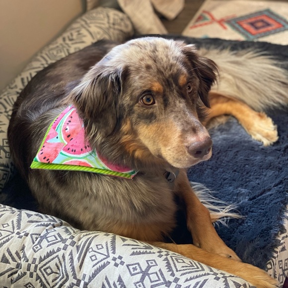 •• Meet your seller •• - Picture 2 of 4